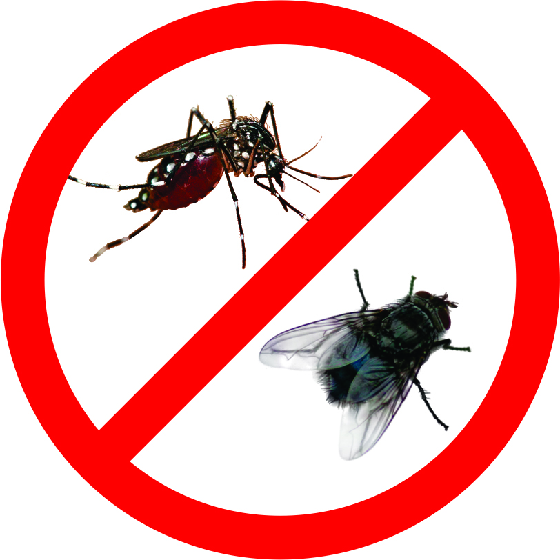 Nhận bán thuốc diệt muỗi giao tại quận 1