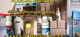 Bán thuốc chống mối tại Tây Ninh
