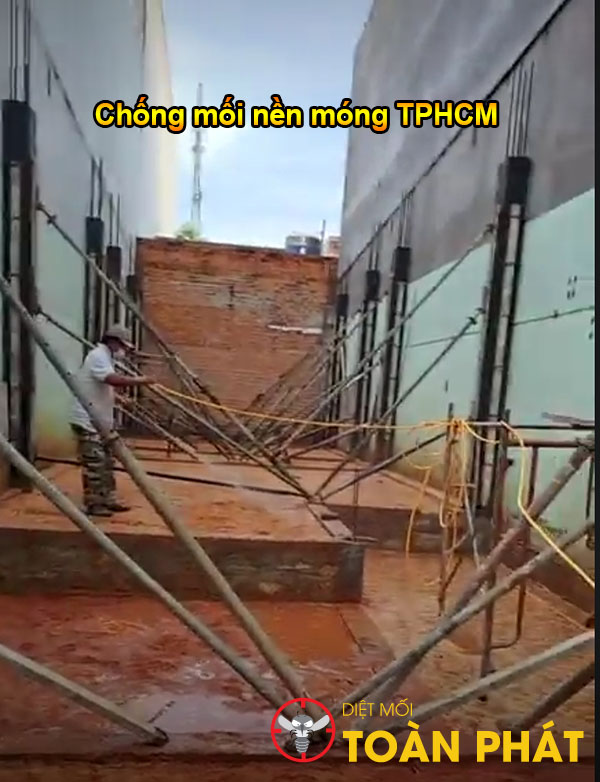 Dịch vụ chống mối nền móng công trình xây dựng ở TPHCM